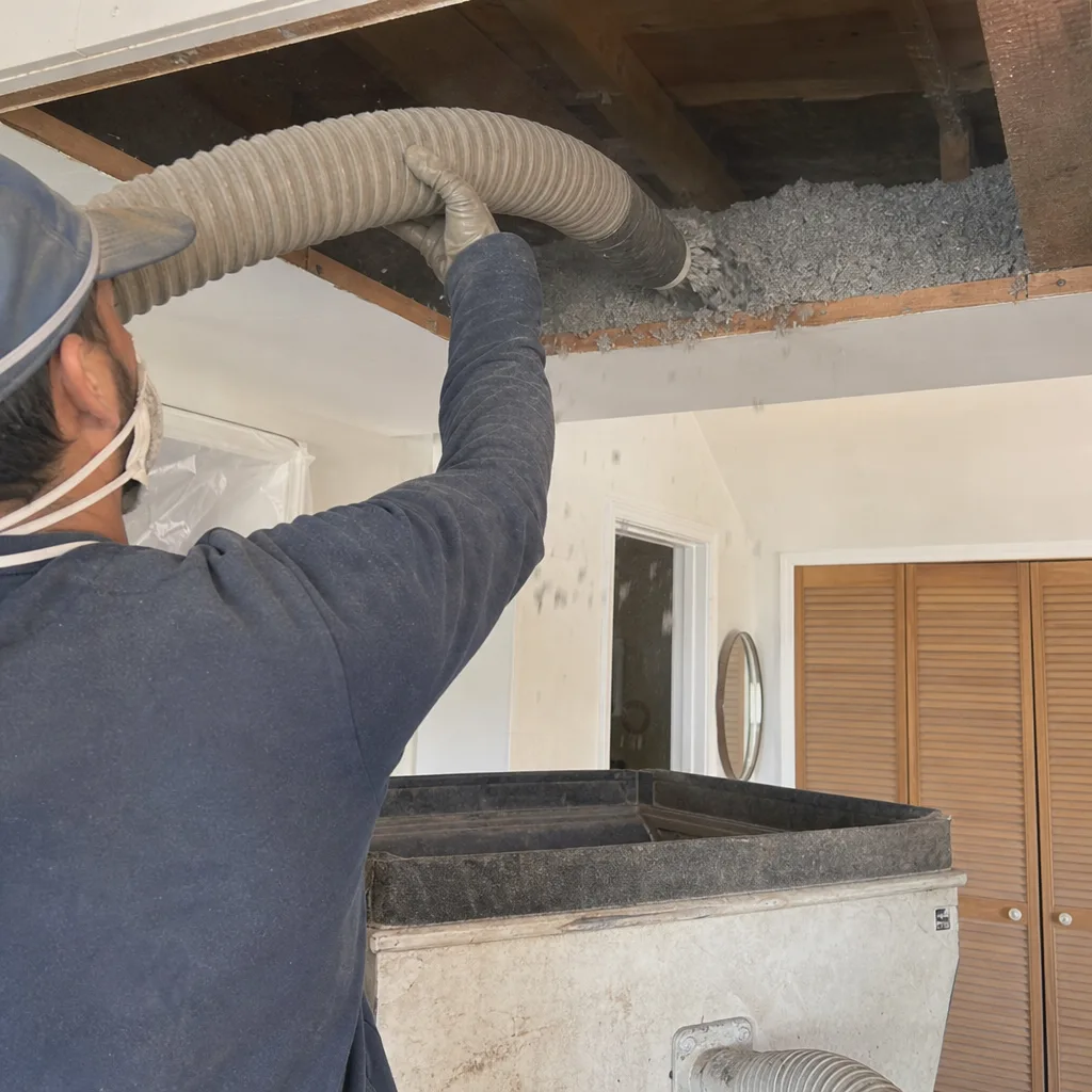 Insulation Removal in Pasadena